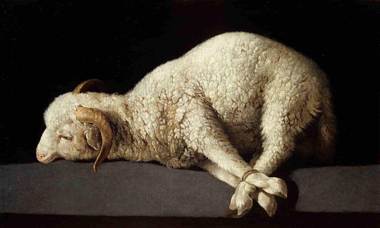 Tác phẩm "Chiên Thiên Chúa" - Agnus Dei by Francisco Zurbarán
